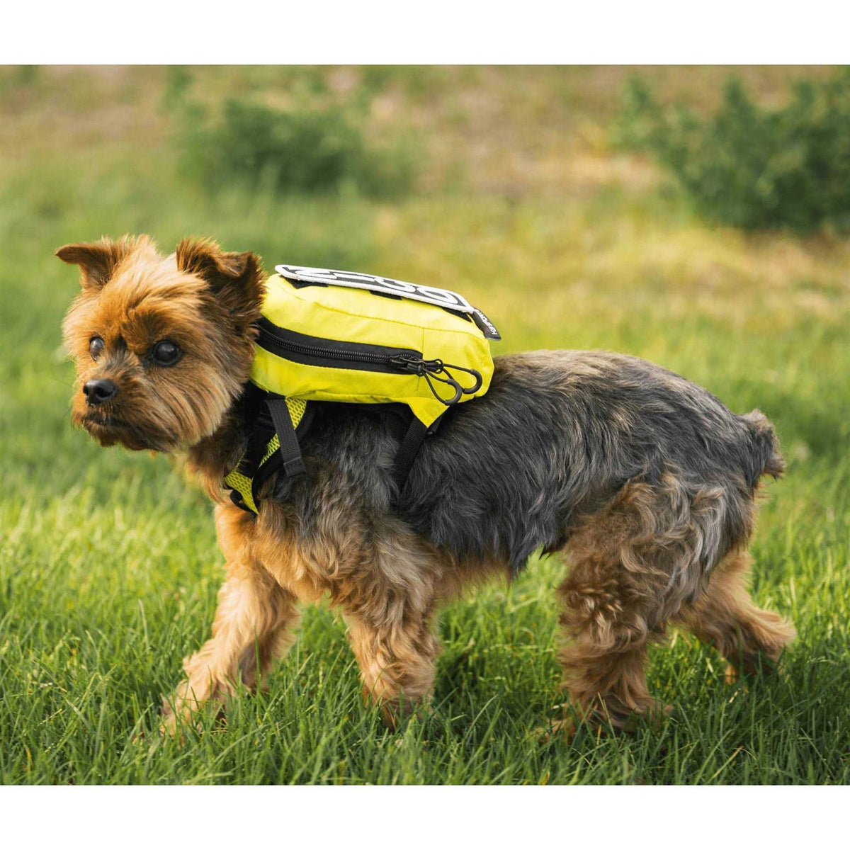 Sport Sack with Harness & Storage F64300