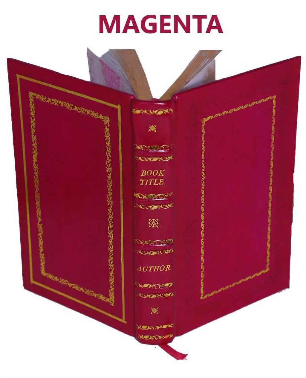 Memoirs of Walsingham Secretary of State 1695 Premium Leather Bound V1095