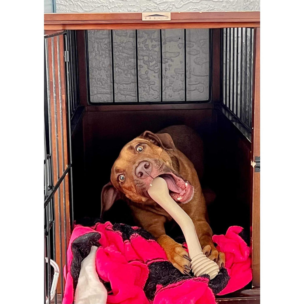 Tough Dog Chew Beef I717912
