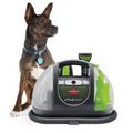 Portable Carpet Cleaner Y256894