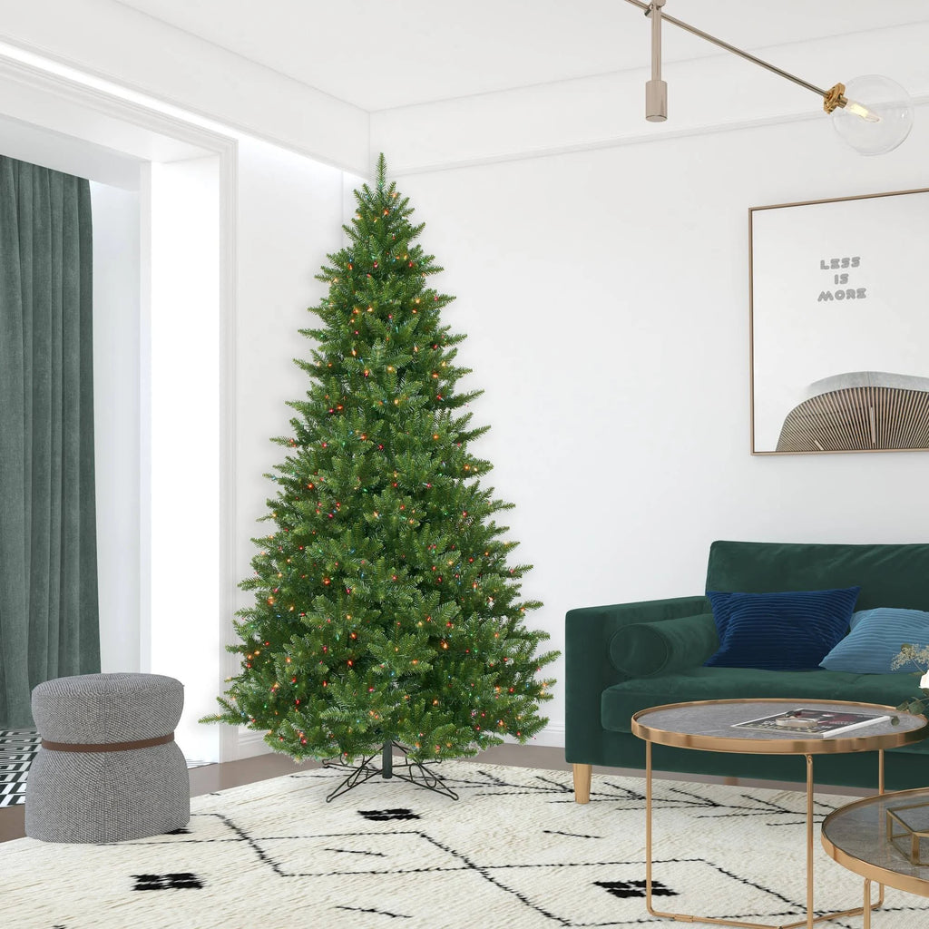 Camdon Fir I1613
