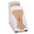 Catheterization Model on Training Stand P90998