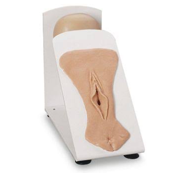 Catheterization Model on Training Stand P90998