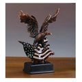 Eagle with American Flag Z548298