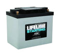 12V 850 CCA Starting Battery S640089
