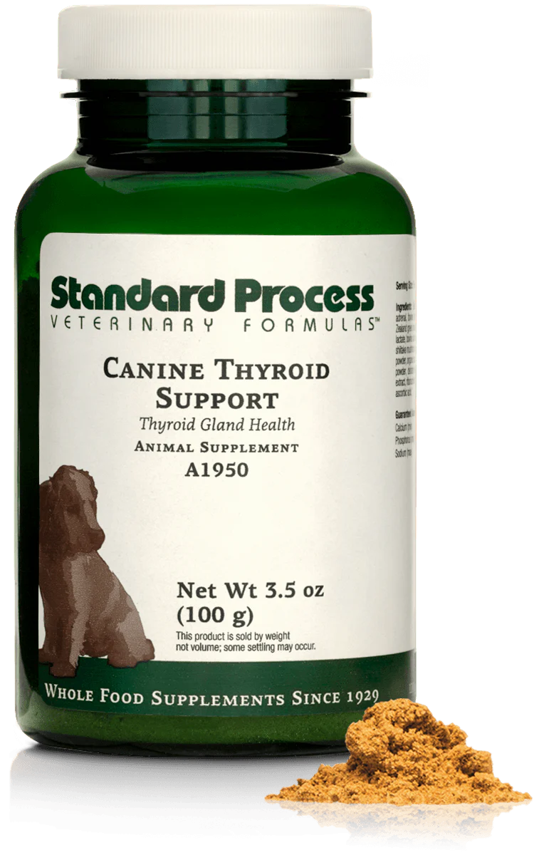3.5 oz Canine Thyroid Support Z938
