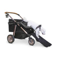 Pet Stroller F200989