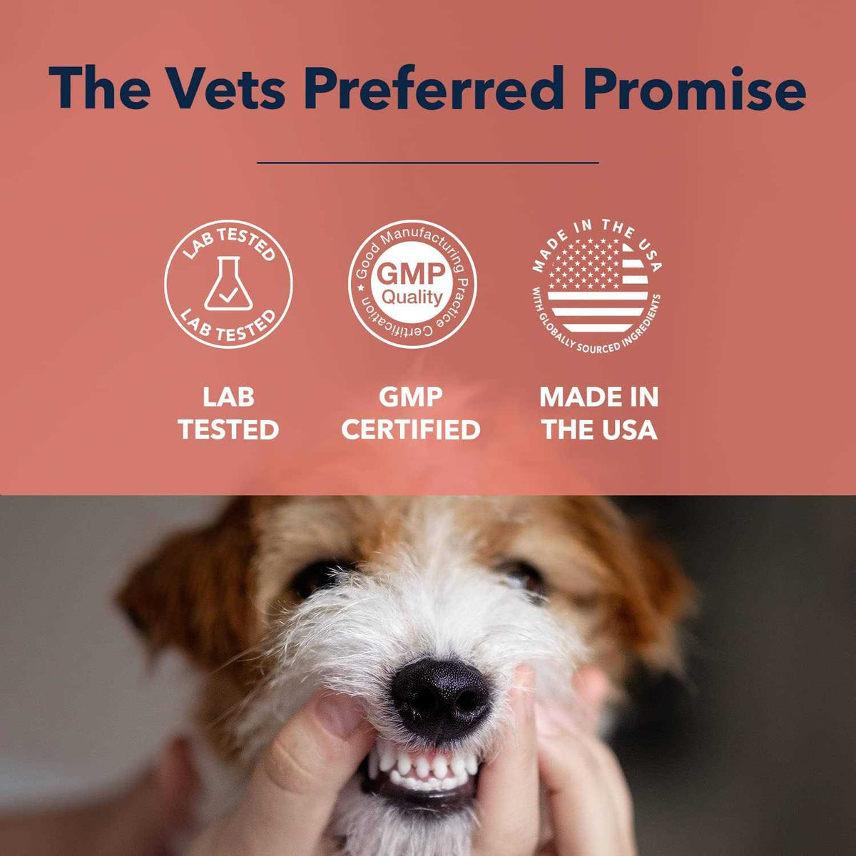 Advanced Oral Care Water Additive for Dogs U629606