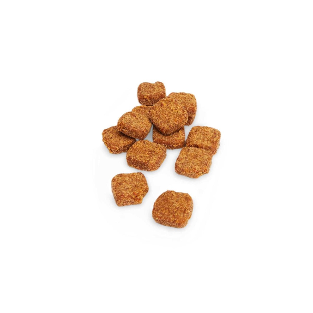 Digestive Enzymes with Probiotics Soft Dog Chews M725
