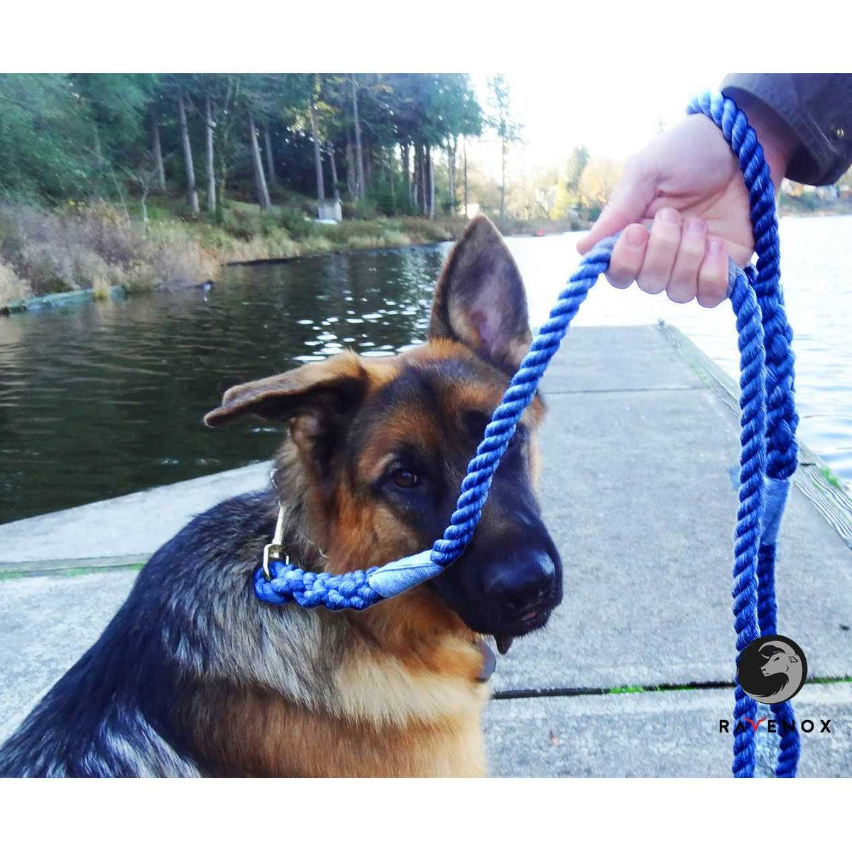 Cotton Rope Leash Lead 12-inch O8727