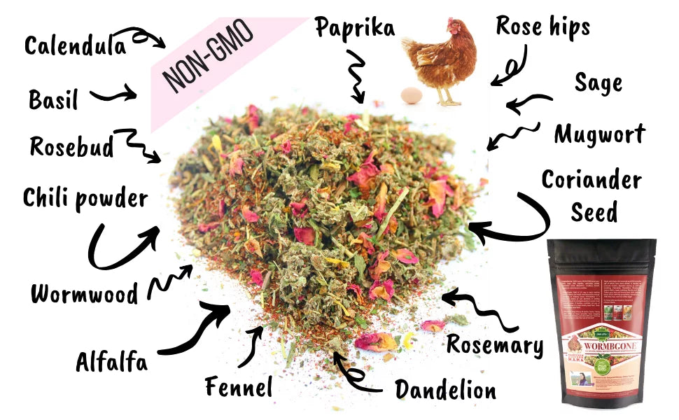 Nesting Herbs for Pet Chickens U142452