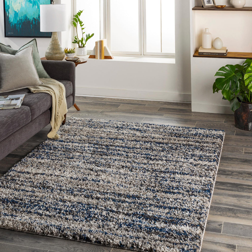 6x9 Dark Blue Area Rug F91145