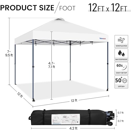 10x10 Pop-up Canopy Tent with Carry Bag, Black C7565