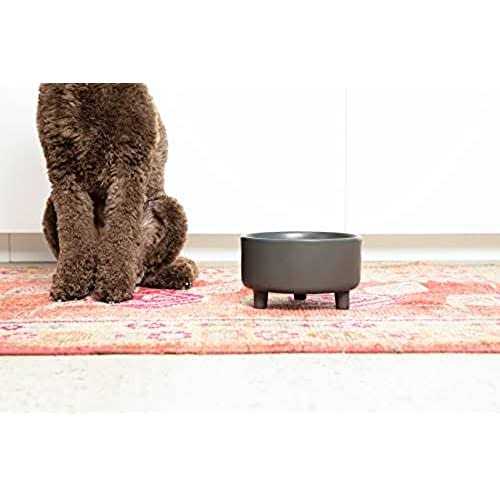 Ceramic Dog Bowl O445639