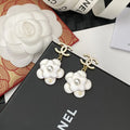 Earrings Y305223