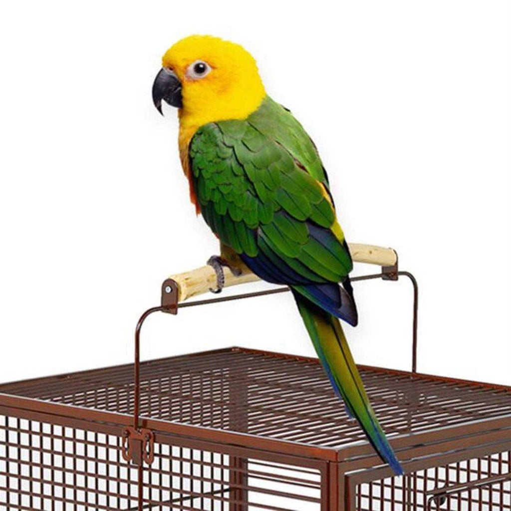 Avian Hotel Pet Supplies Y384680