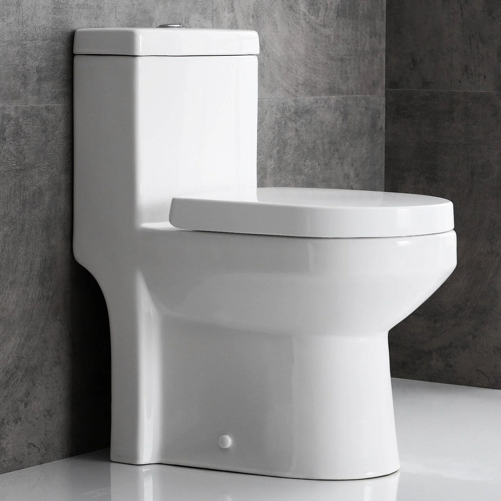 One-Piece Dual Flush Ceramic Compact Toilet D634282