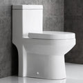 One-Piece Dual Flush Ceramic Compact Toilet D634282