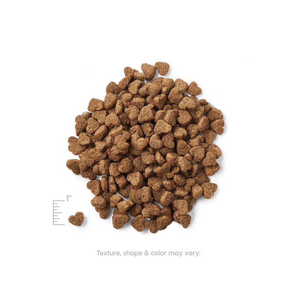 Grain Free Dry Puppy Food H98178