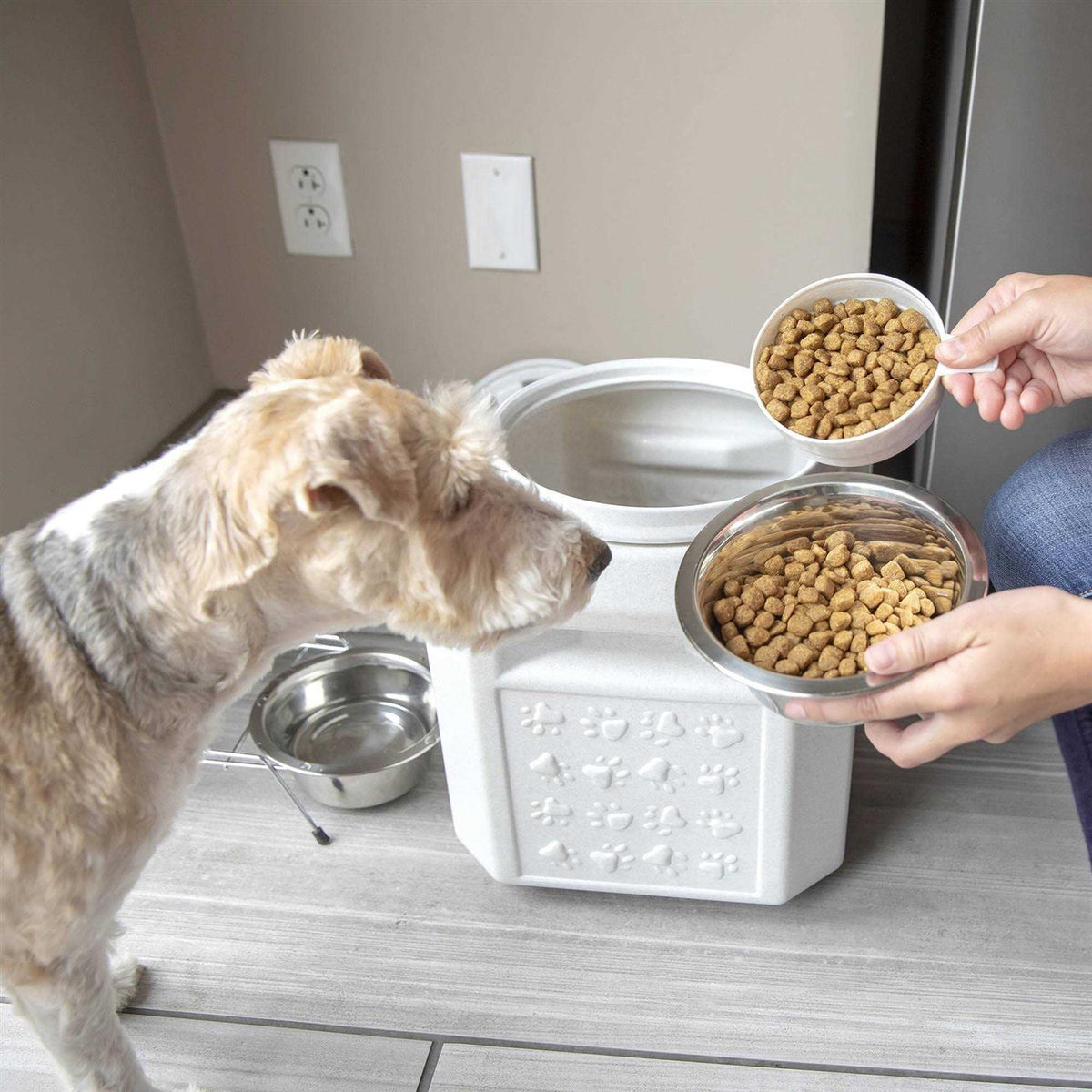 Pet Food Container Y485594