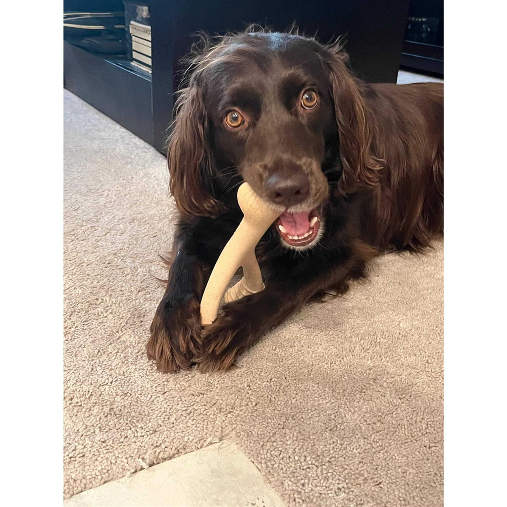 Tough Dog Chew Beef I717912