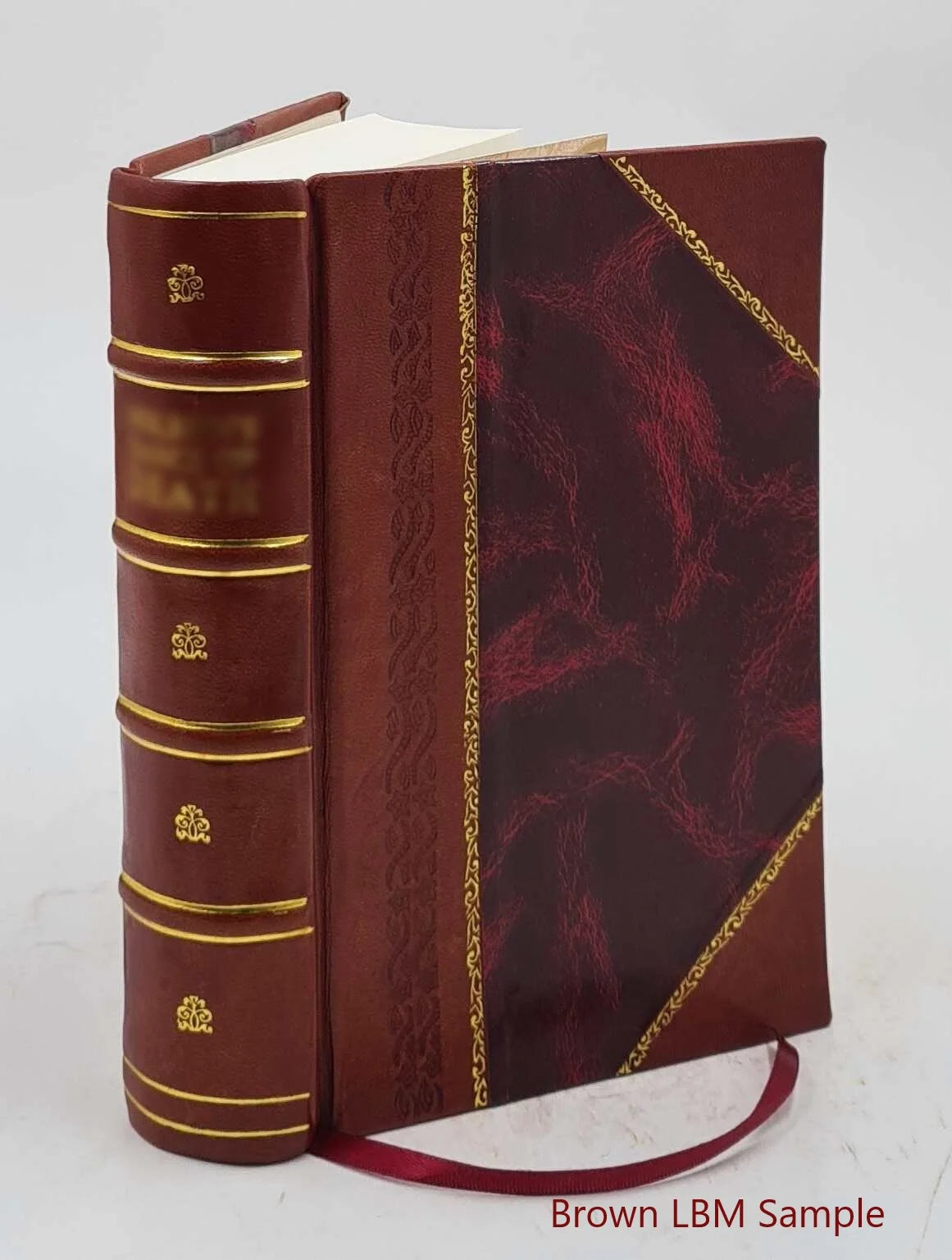 Nineteenth Ohio Battery Volunteer Artillery Leather Bound C849