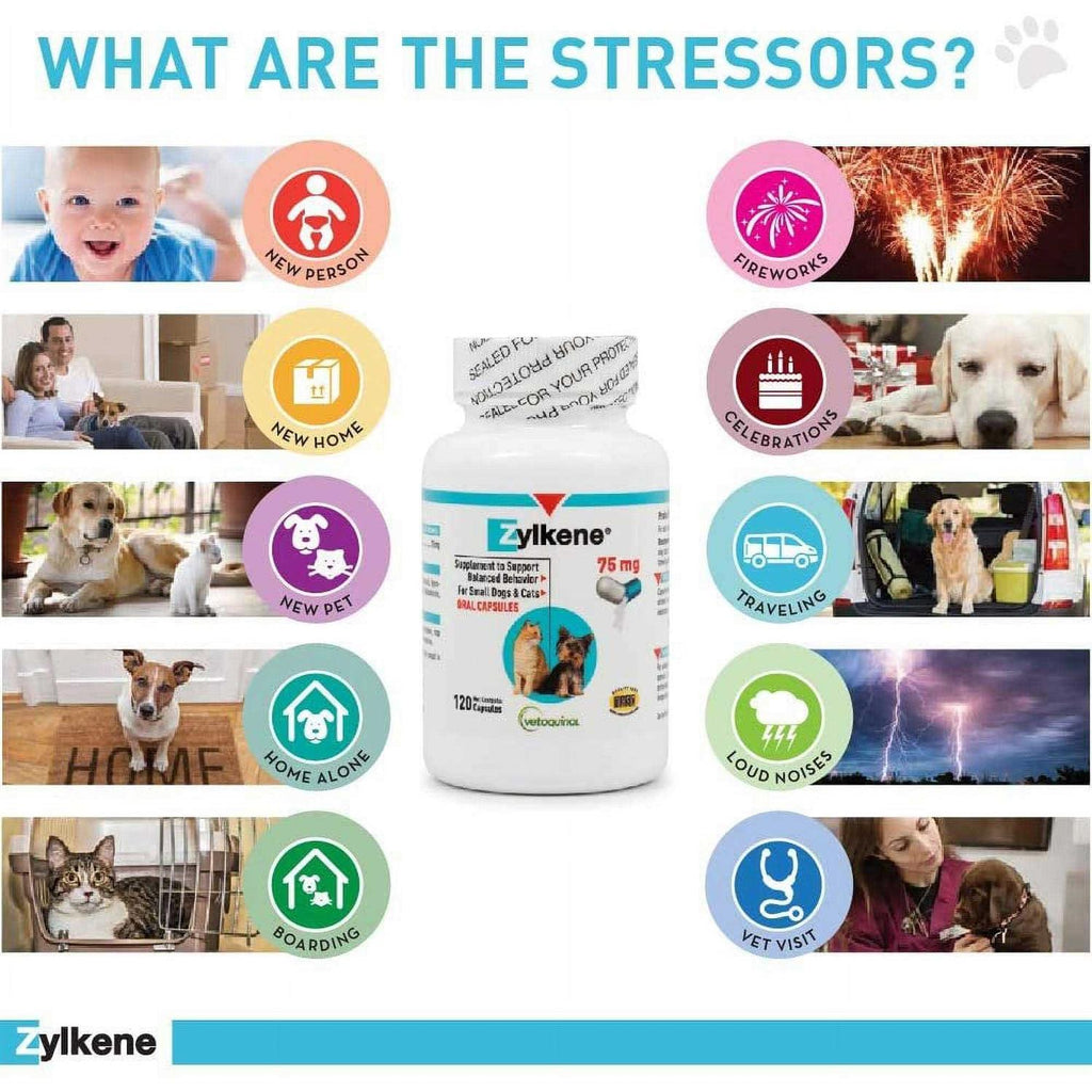 Home Goods K921422