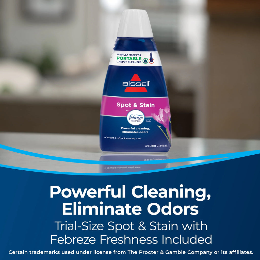 Portable Carpet Cleaner Y256894