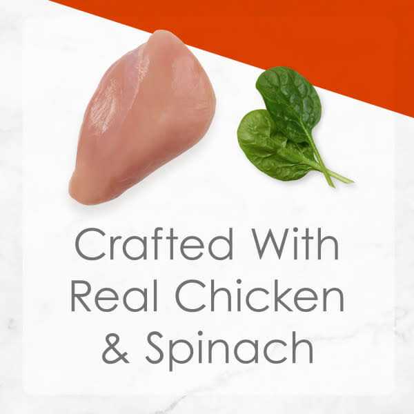 Shredded White Meat Chicken Wet Cat Food O7532