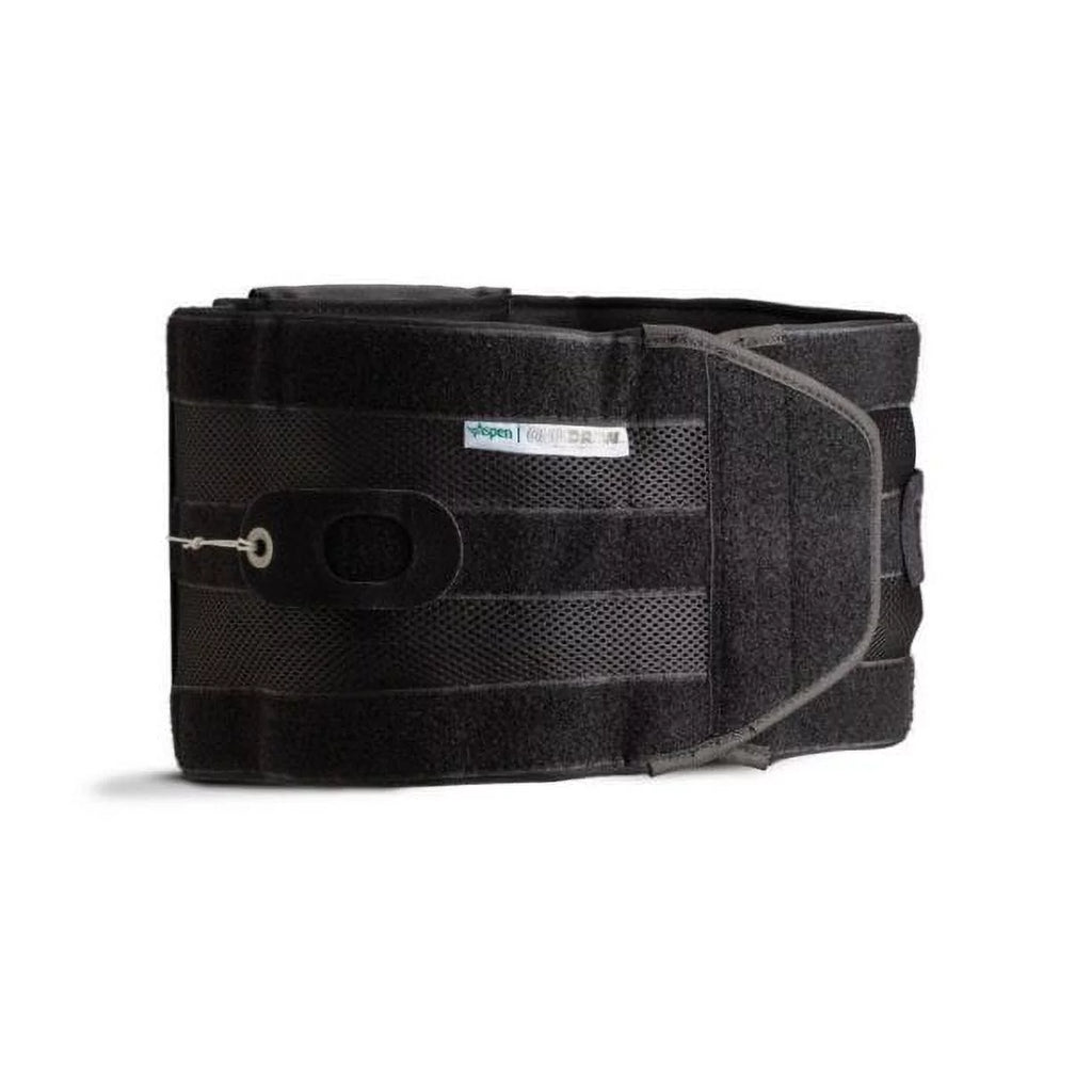 Large 36 to 42 Inch Back Brace N286386