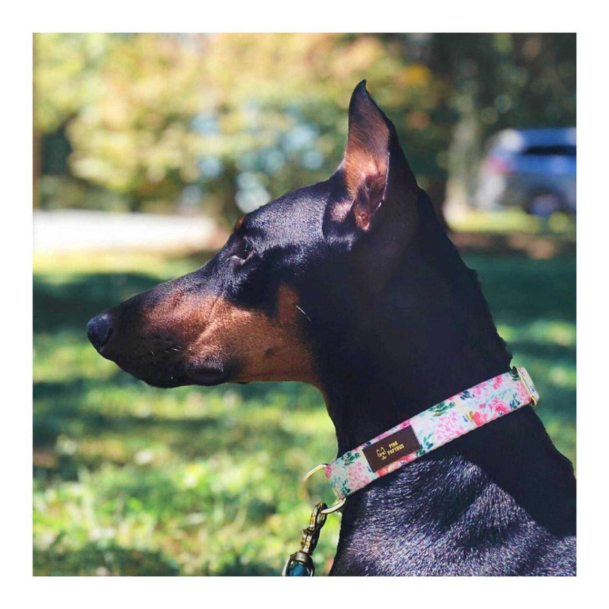 Pink Papyrus Collar G40542