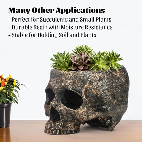 Extra Large Skull Candy Dish Bowl Holder Resin Decor S3589