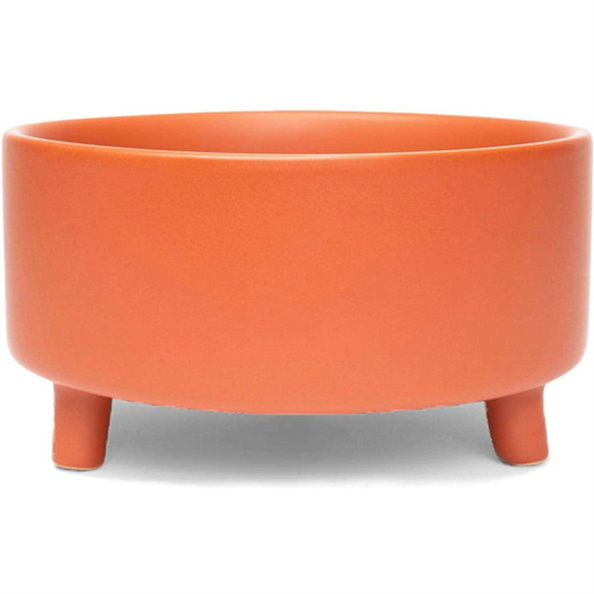 Ceramic Dog Bowl O445639