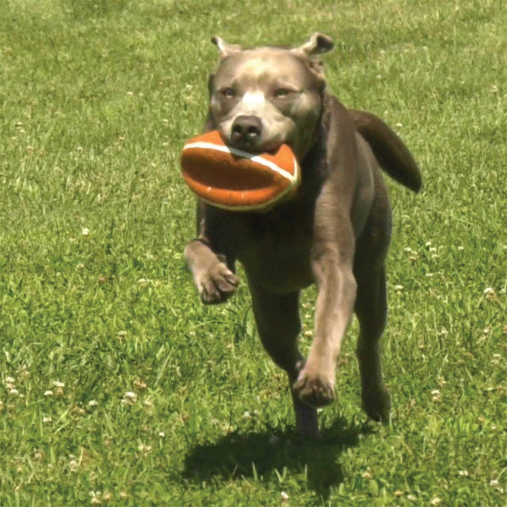 Dog Toy N8054