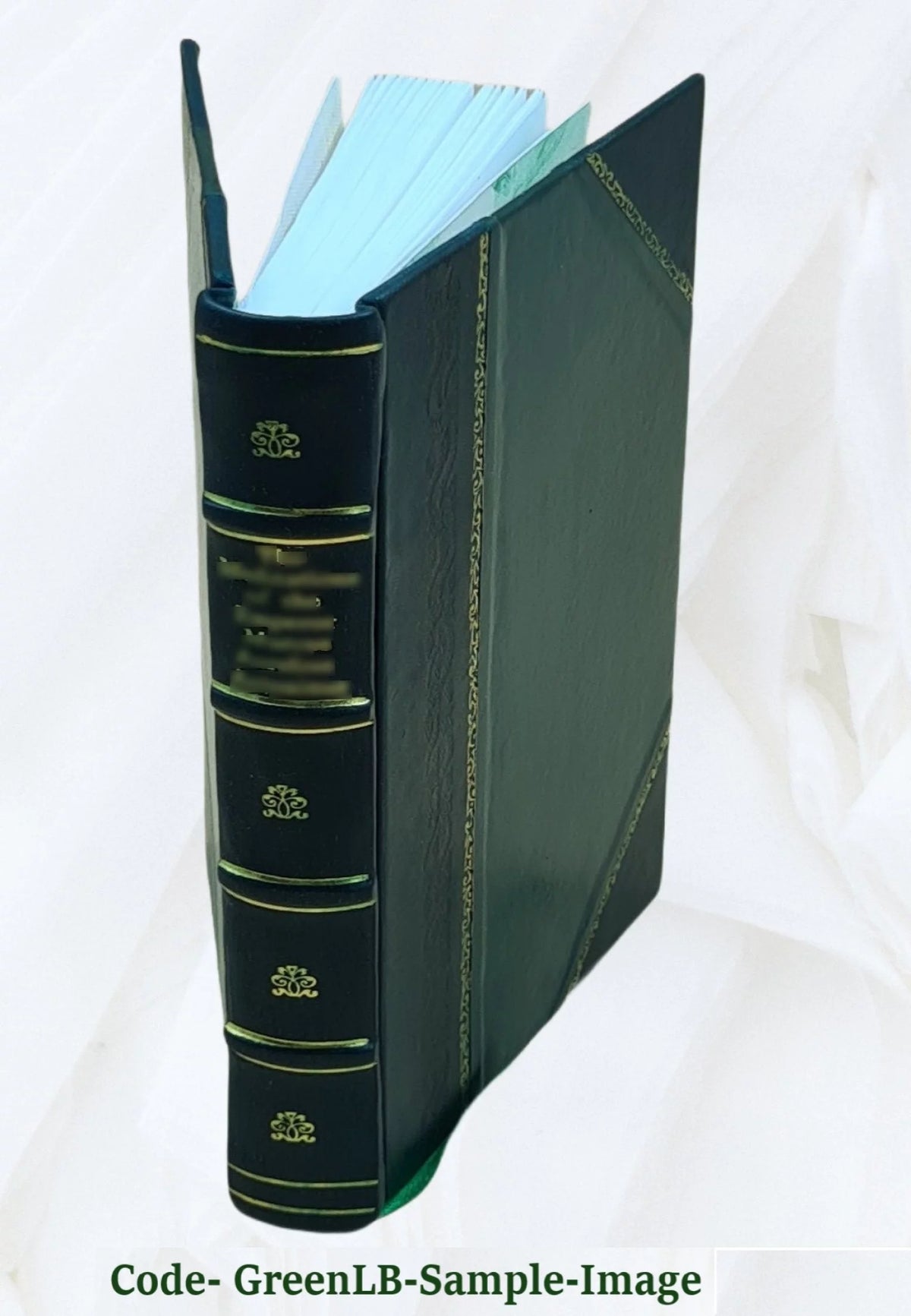 Leather Bound Tour Notes I875