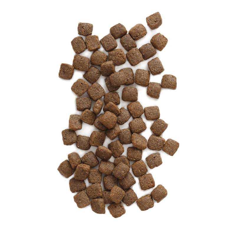 Grain Free Dog Food B911609