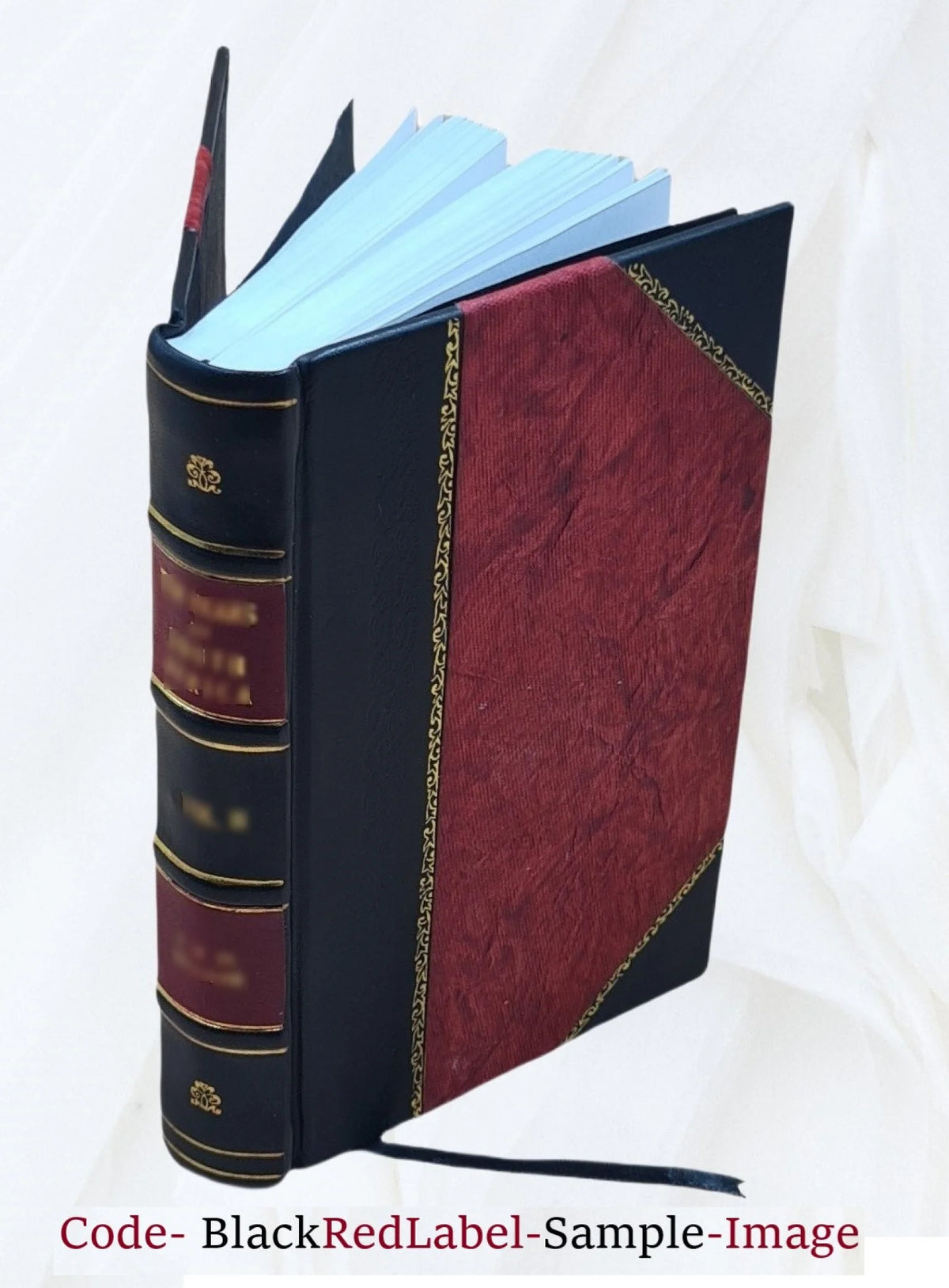 Leather Bound Tour Notes I875