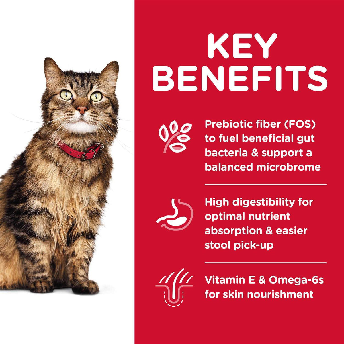 Sensitive Stomach and Skin Adult Dry Cat Food A20904